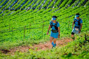 BIB: 
                            <button type="button" onclick="openModal(19163439)" class="btn btn-primary btn-sm float-right btn-popup" data-toggle="modal" data-target=".modal-high-quality">
                        <i class="fas fa-shopping-cart"></i> Add to Cart
                    </button>
                                            <button type="button" onclick="isThisMe(19163439, true)" class="btn btn-success btn-sm float-right btn-popup btn-isme hidden" data-toggle="tooltip" data-placement="bottom" title="นี่คือรูปของคุณใช่ไหม คลิกที่นี่เพื่อเอาเข้าอัลบั้ม">
                        <i class="fas fa-plus"></i> Add to album
                    </button>
                    <button type="button" onclick="isThisMe(19163439, false)" class="btn btn-warning btn-sm float-right btn-popup btn-isnotme hidden">
                        <i class="fas fa-ban"></i> Remove from album
                    </button>